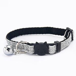 Daily Collar