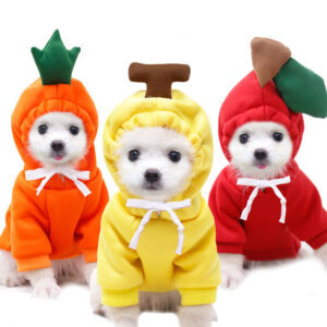 Cute Fruit Two-legged Dog Clothes