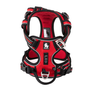 Dog Harness