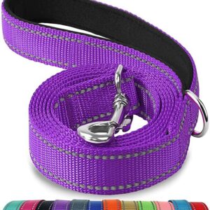Reflective Dog Holding Rope
