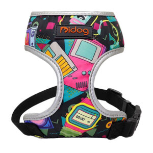 Walking Harness