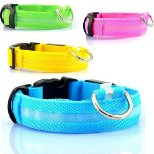 LED USB Rechargeable Safety Dog Collar