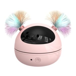 Automatic Cat Laser