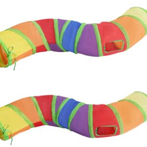 Rainbow Cat Tunnel