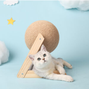 Cat Scratching Ball