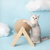 Vshaped cat catching ball