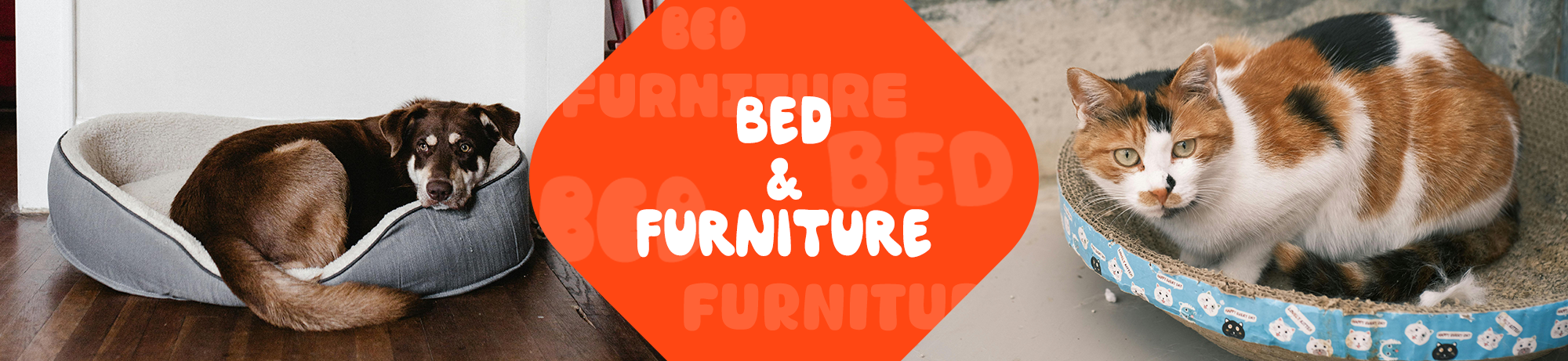 Bed & Furniture