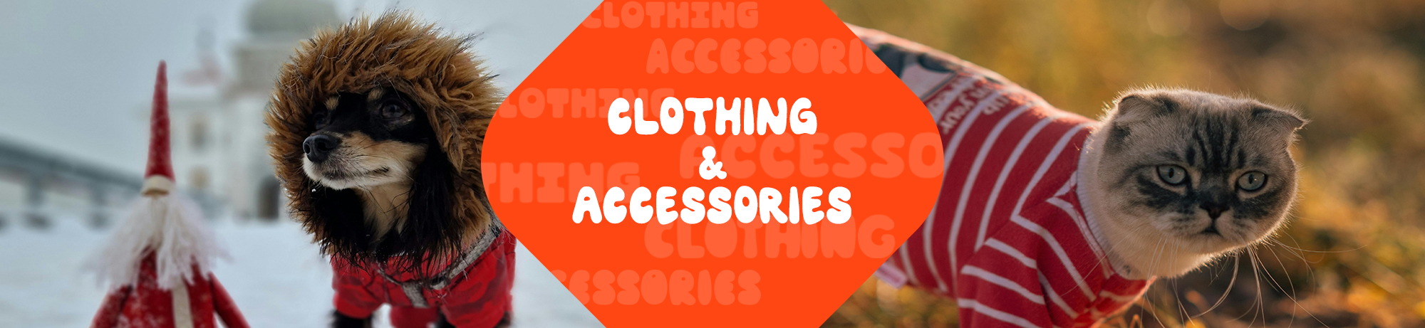 Clothing & Accessories