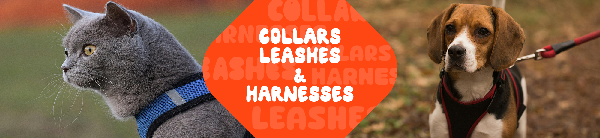 Collars, Leashes & Harnesses