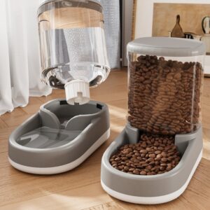 Water Dispenser & Automatic Feeder For Dogs