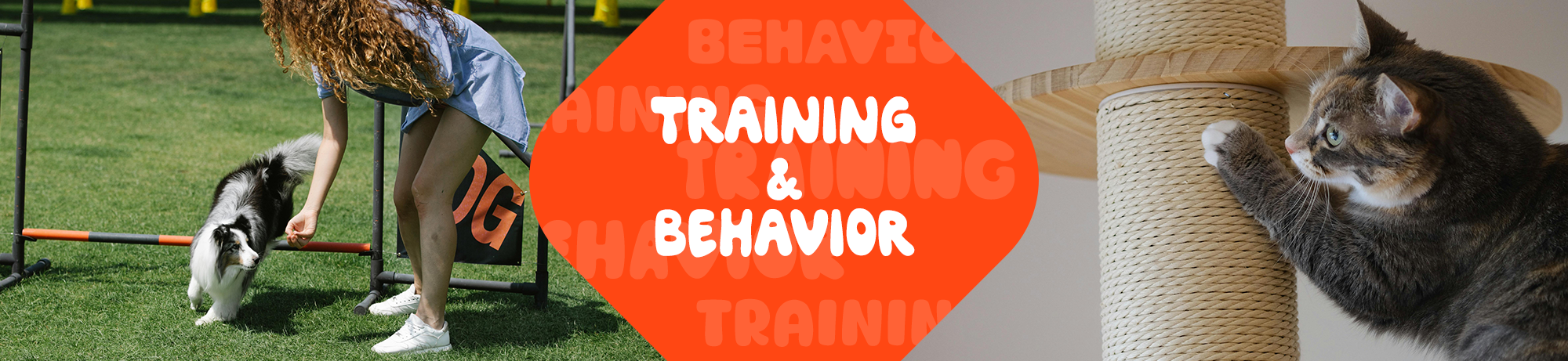 Training & Behavior