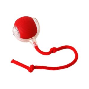 Interactive Rolling Ball  Toy
