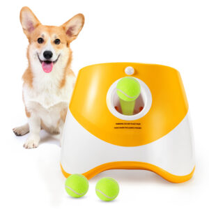 Automatic Throwing Machine