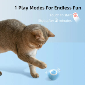 Interactive Rolling Ball Cat Toy
