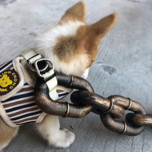 Fake Iron Chain Dog Leash
